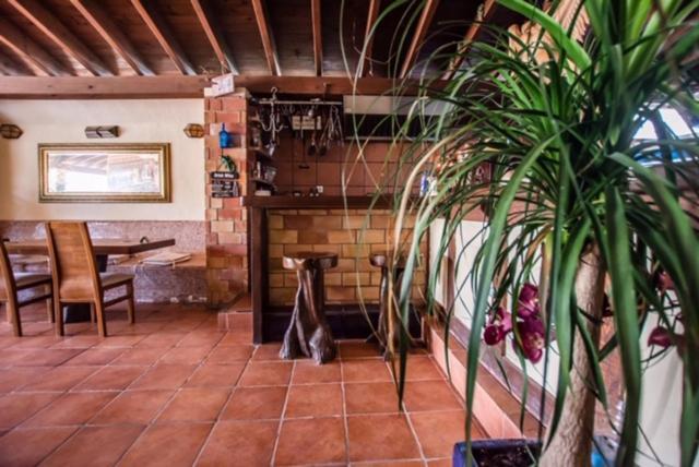 El Cortijo Escana Es Cana Zewnętrze zdjęcie